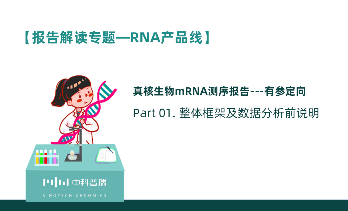报告解读---真核生物mRNA测序报告/Part01整体框架及数据分析前说明