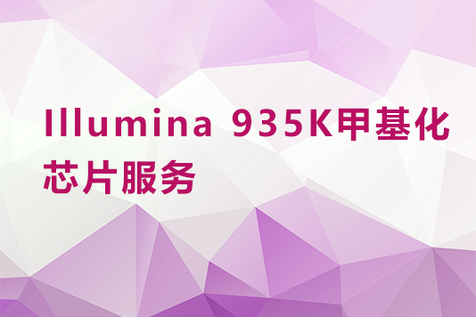 Illumina 935K甲基化芯片服务