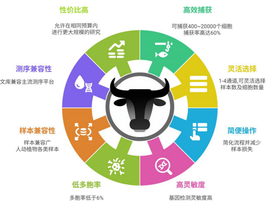 17581837659839.png 538e20af32ac9b7c412533a1916b621a.png